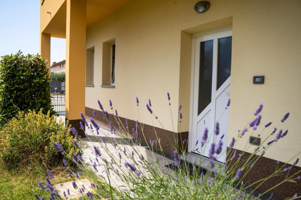 Apartments Dani イゾラ エクステリア 写真
